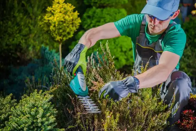 landscaping services Sacramento